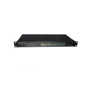 ACE-224PG